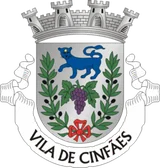 Brasão de Cinfães Brasão de Cinfães