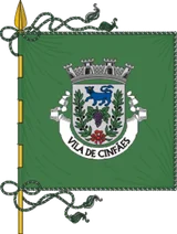 Bandeira de Cinfães Bandeira de Cinfães