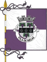 Bandeira de Nelas