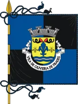 Bandeira de Oliveira de Frades