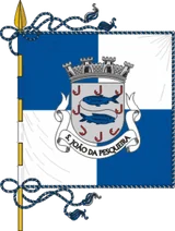 Flag of São João da Pesqueira Flag of São João da Pesqueira