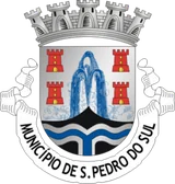 Coat of arms of São Pedro do Sul