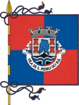 Flag of São Pedro do Sul