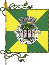 Bandeira de Tondela