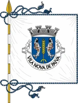 Bandeira de Vila Nova de Paiva