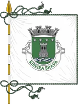 Bandeira de Ribeira Brava