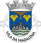 Brasão de Madalena